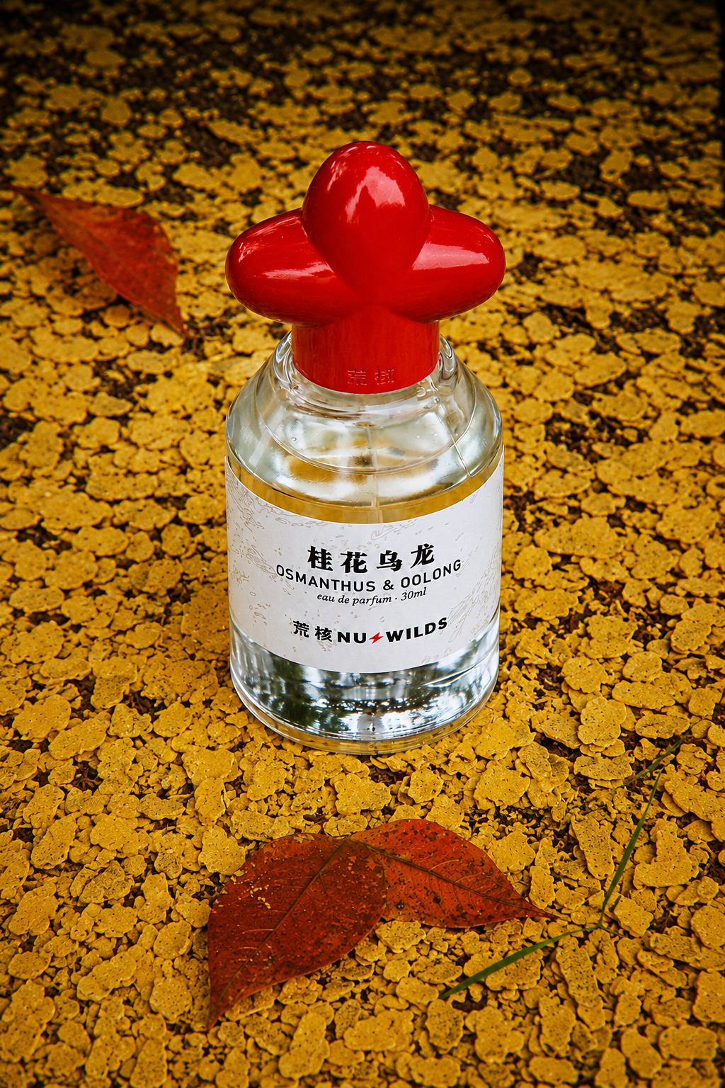 Osmanthus & Oolong